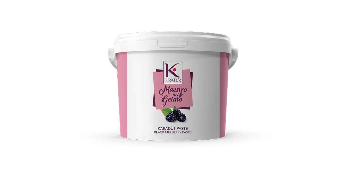 Morbi vitae purus dictum, ultrices tellus in, gravida lectus. 