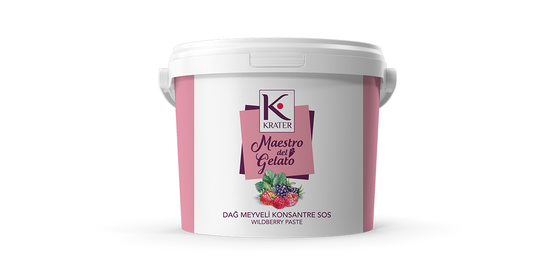 Morbi vitae purus dictum, ultrices tellus in, gravida lectus. 